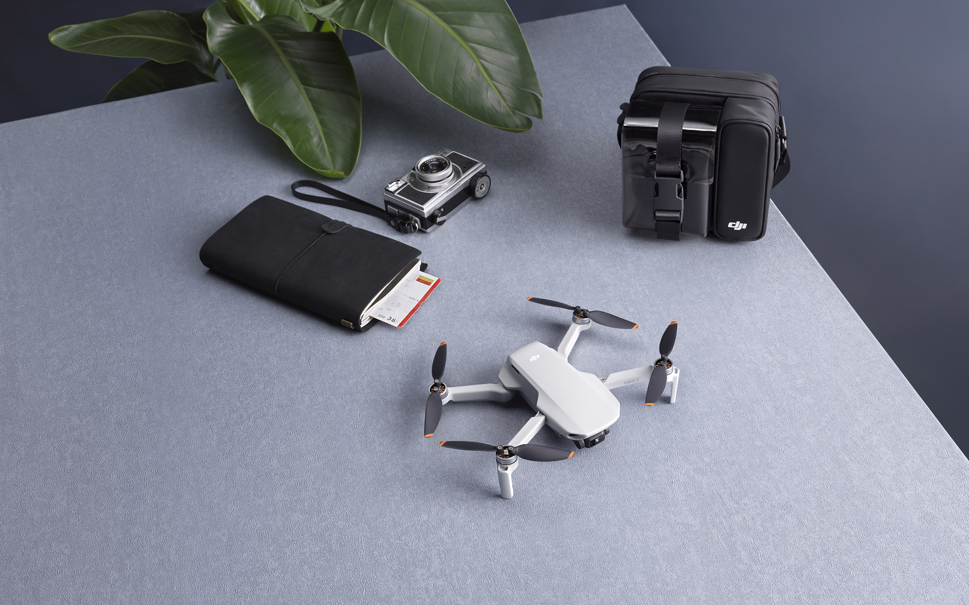 dji_mavic_mini_2_section_download