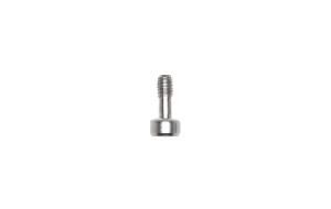 21Screw