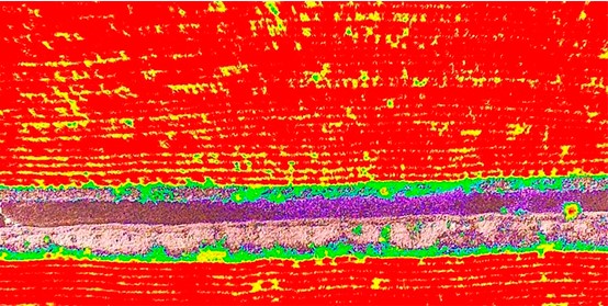 P4_Multispectral_10