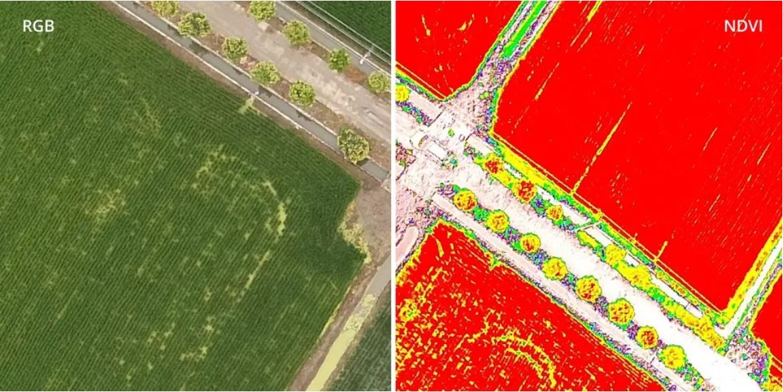 P4_Multispectral_5
