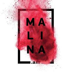 Интернет-телеканал MALINA